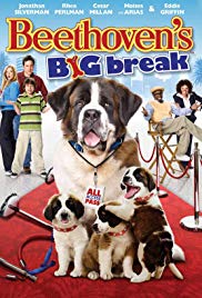 Beethovens Big Break (2008)