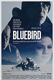 Bluebird (2013)