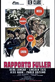 Rapporto Fuller, base Stoccolma (1968)