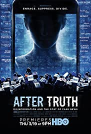 After Truth: Disinformation and the Cost of Fake News (2020)