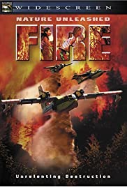 Fire (2004)