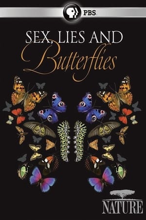 Sex, Lies and Butterflies (2018)