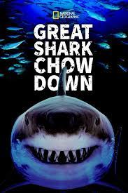 Great Shark Chow Down (2019)