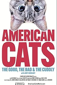 American Cats The Good, the Bad, and the Cuddly (2024)