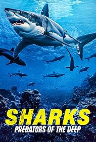 Sharks Predators of the Deep (2024)