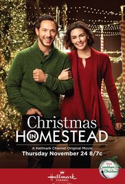 Christmas in Homestead (2016)