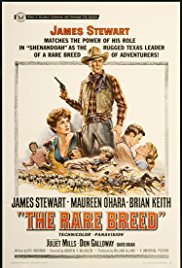 The Rare Breed (1966)