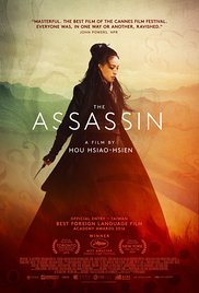 The Assassin (2015)