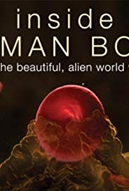 Inside the Human Body (2011 )