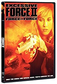 Excessive Force II: Force on Force (1995)